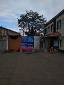 Фотография Колибри 3