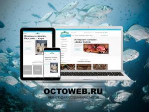Фотография Веб-студия OctoWeb - Создание сайтов 4