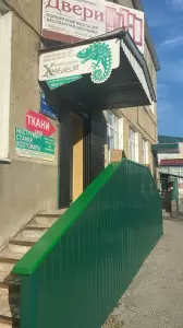 Фотография Хамелеон 4