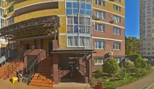 Фотография Кит и Лиса 0